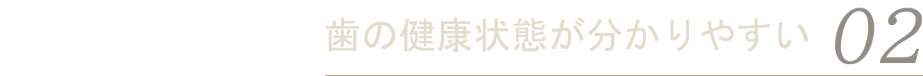 歯の健康状態が分かりやすい