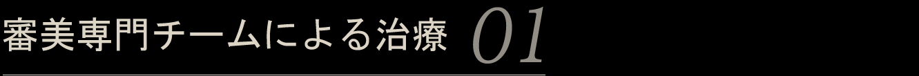 審美専門チームによる治療