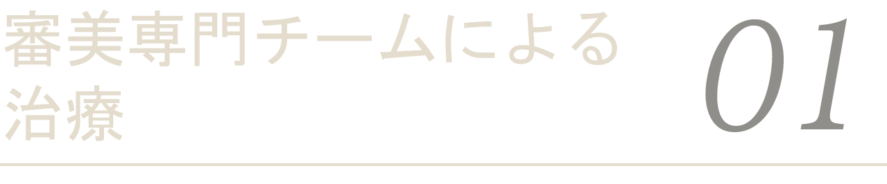 審美専門チームによる治療